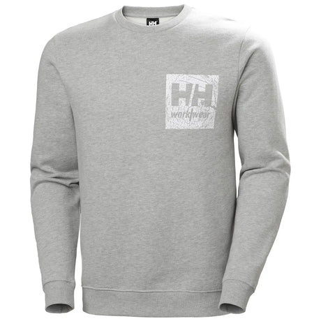 Sweatshirt "GRAPHIC" - Helly Hansen® - workXperts