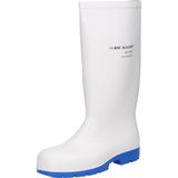 Dunlop Stiefel Acifort Classic+