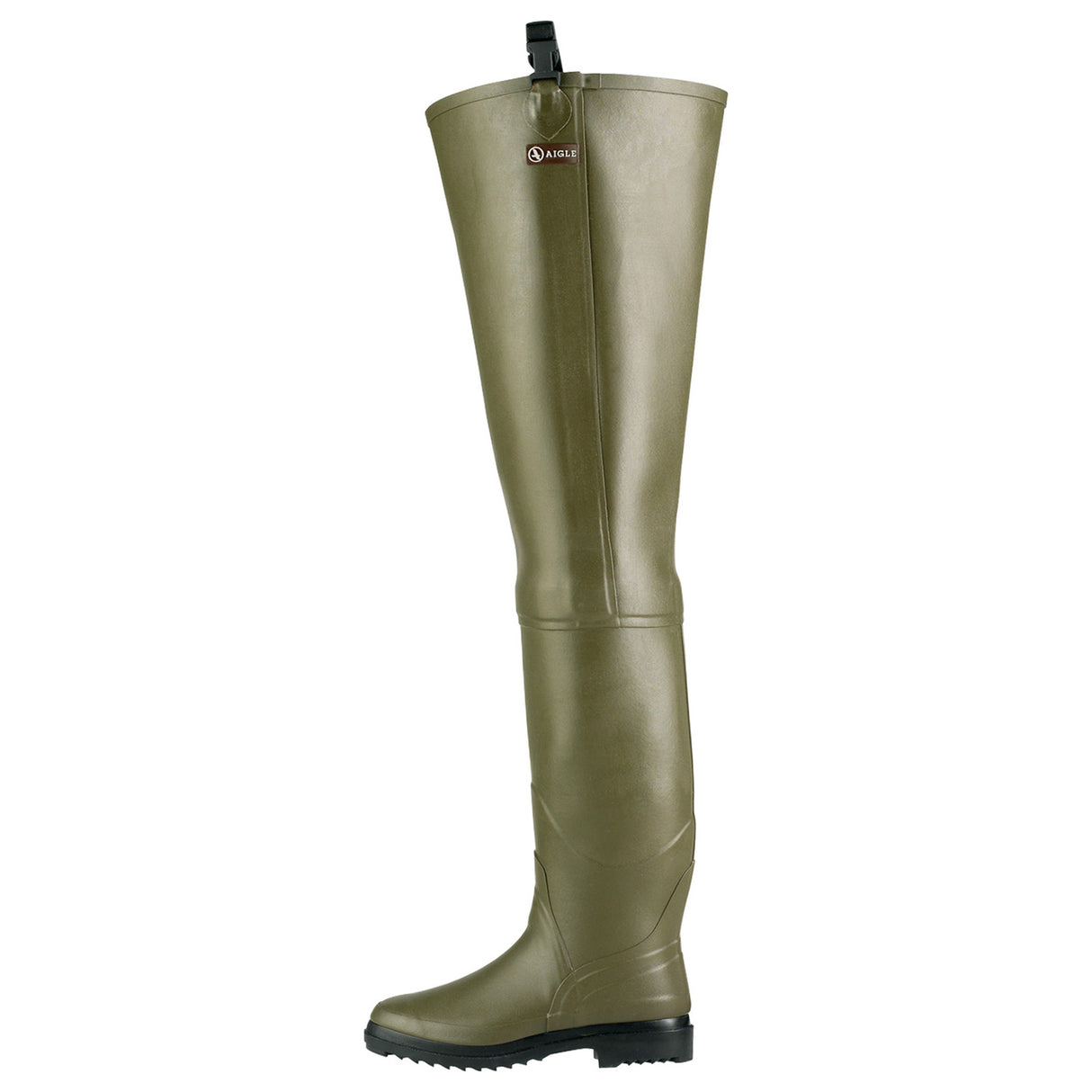 Aigle Truite