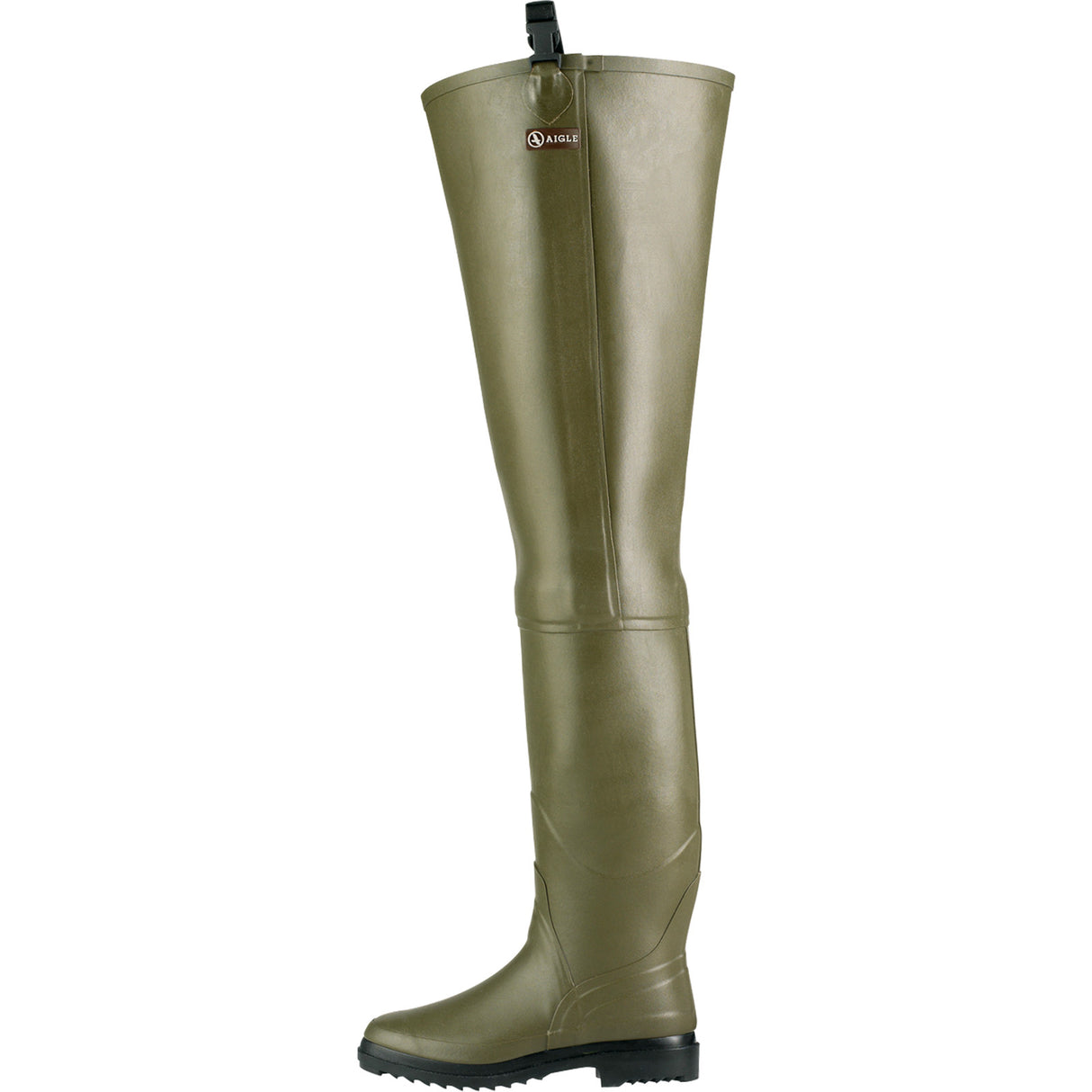 Aigle Truite