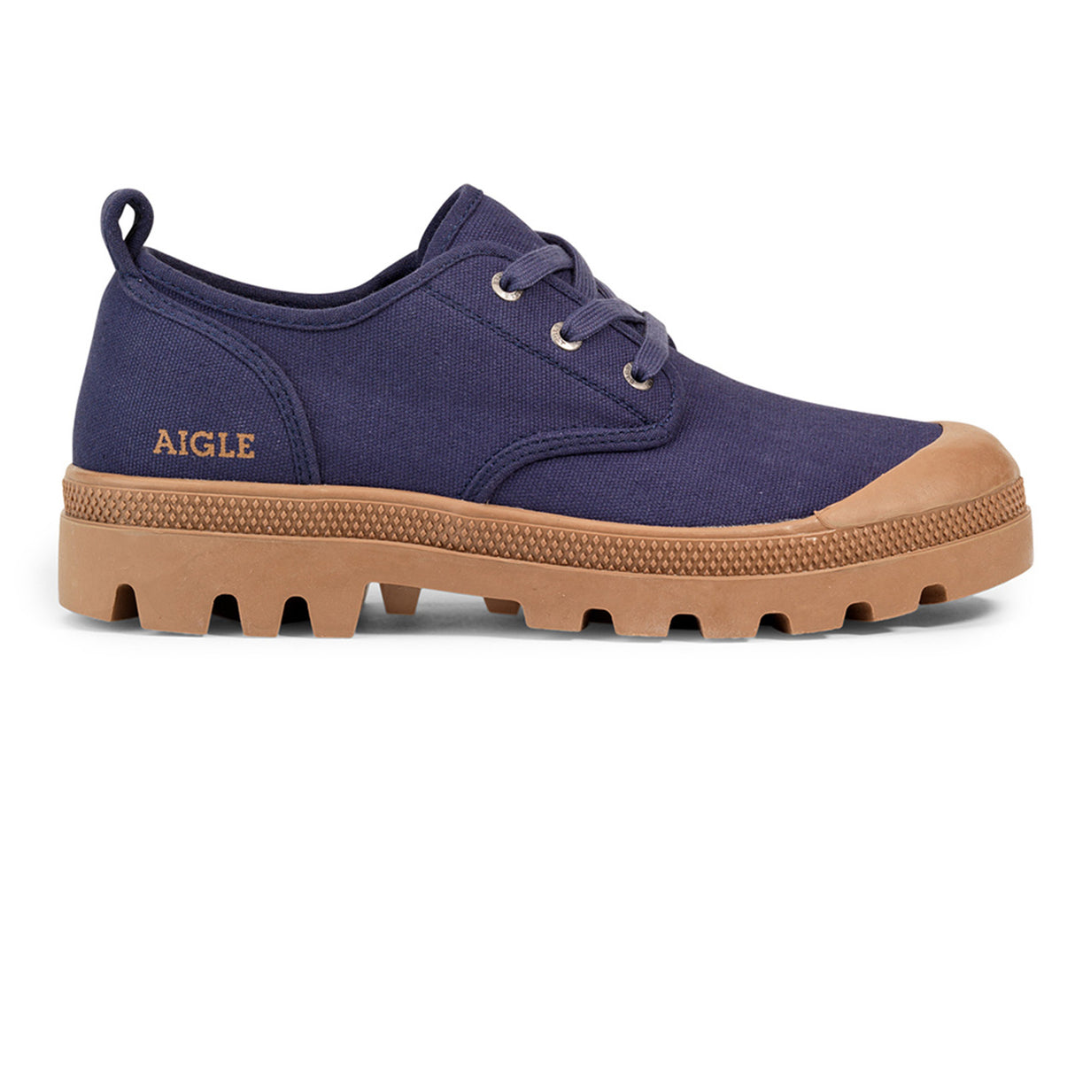 Aigle Terre