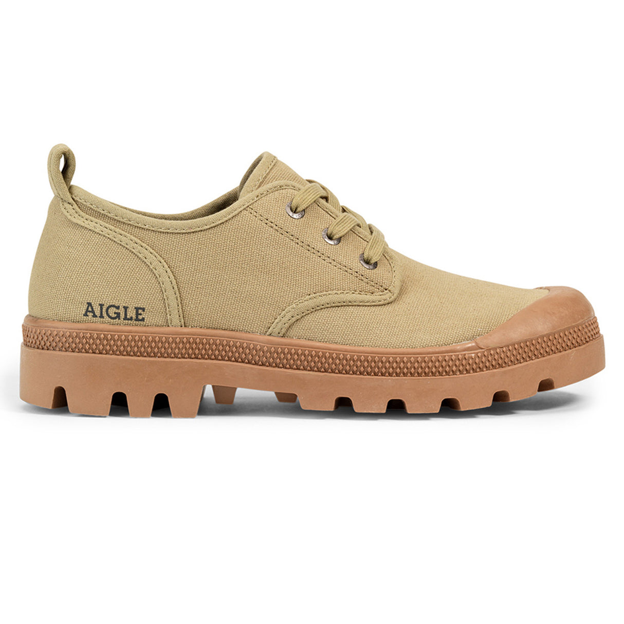 Aigle Terre