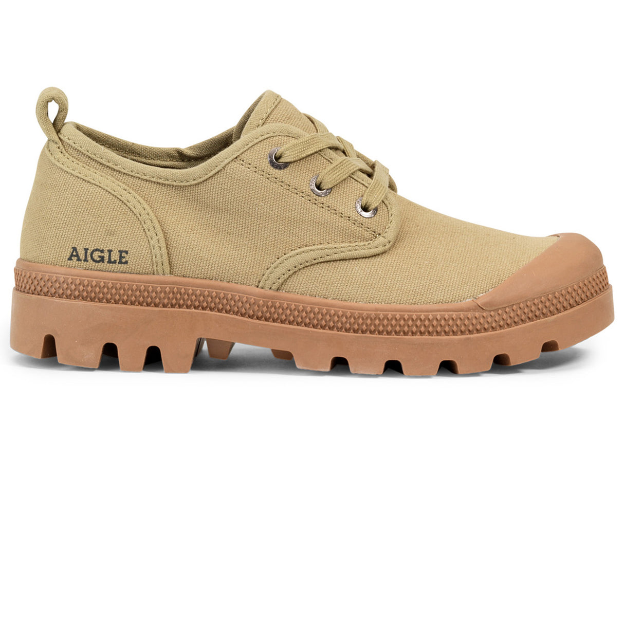 Aigle Terre M