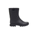 Aigle Alya
