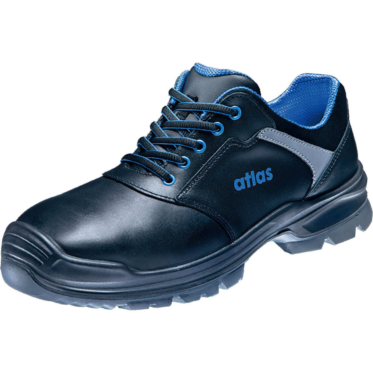 Atlas Anatomic Bau 560 XP