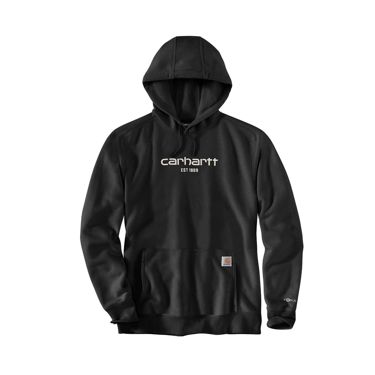 Carhartt Logo Graphic sweatshirt