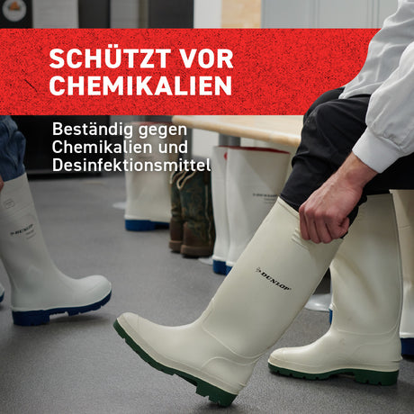 Dunlop Stiefel Pricemastor